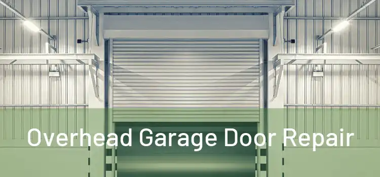  Overhead Garage Door Repair 